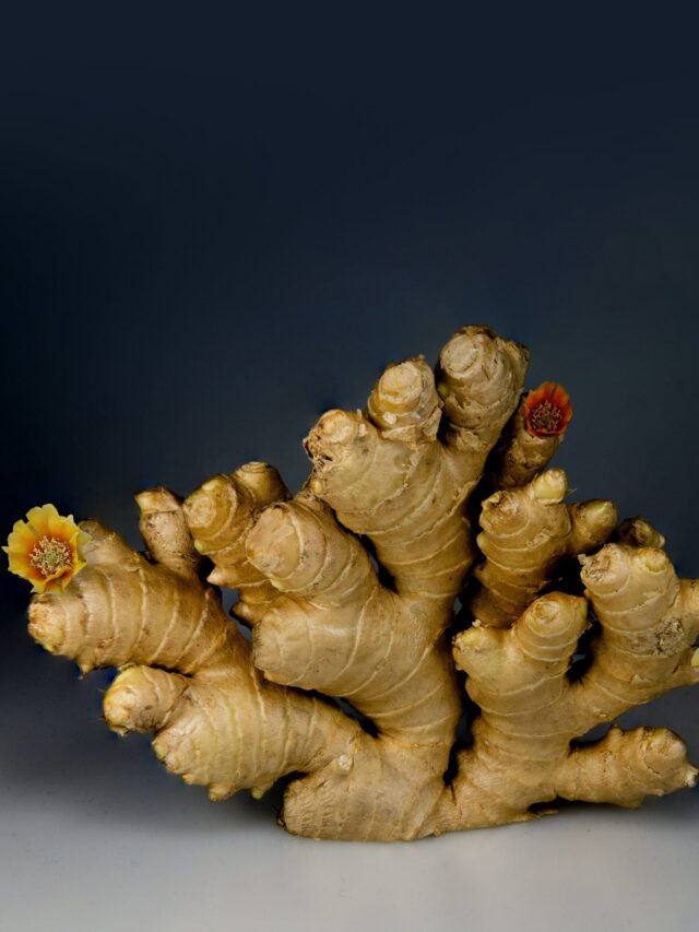 Surprising Ginger facts you have to know